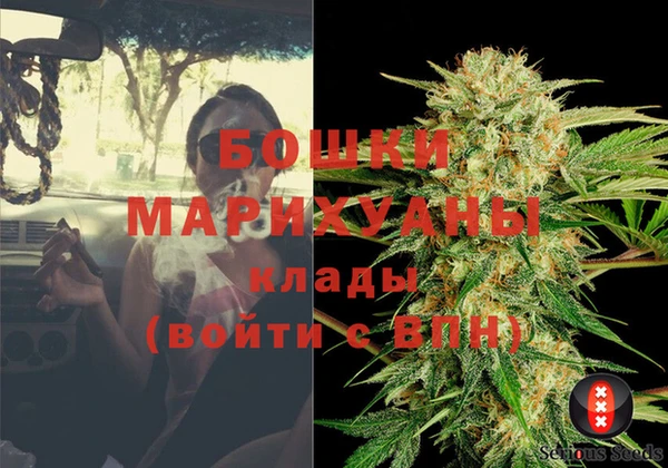 стафф Богданович